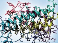 Protein Analysis