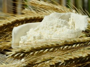 Cereals and Flour